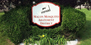 MMAD Sign