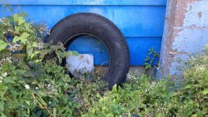 Old Tires