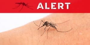 Virus Alert