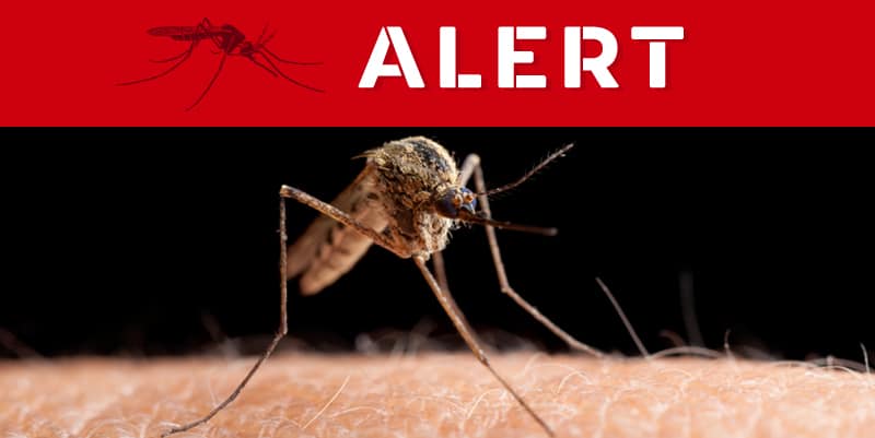 West Nile virus mosquito alert